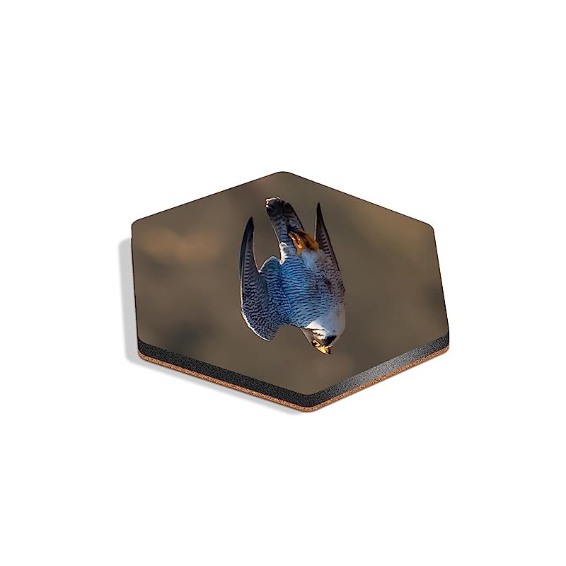 1 x Hexagon Coaster - Peregrine Falcon Bird Dive Cork