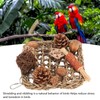 Bird Climbing Net Rattan Ball Pine Cone Corn Cob Nuts
