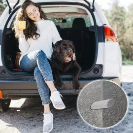 bbnmore Pet Hair Remover STONE Sweeps fur away Use on carpets couches