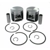 Aftermarket 1999 Arctic Cat ZL 600 Piston Kits Std Stock