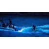 BamF Old School RGB COLOR CHANGING LED BOAT DRAIN PLUG