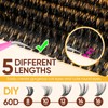 Lash Clusters Wispy 60D Cluster Eyelash Extensions 320pcs Individual Natural