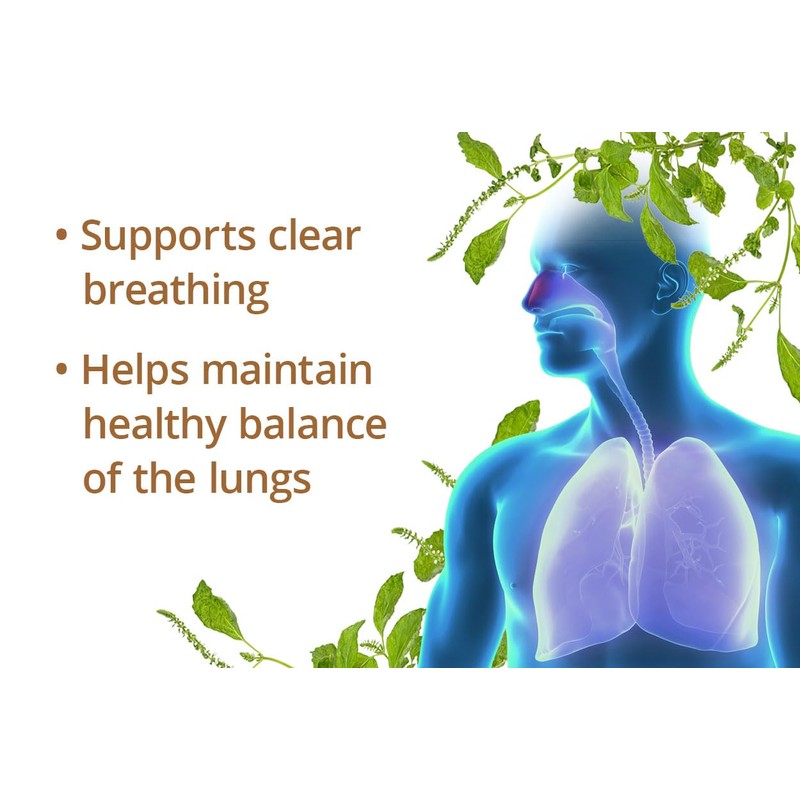 Dragon Herbs - Perilla Clear Capsules - 60 Capsules, 500