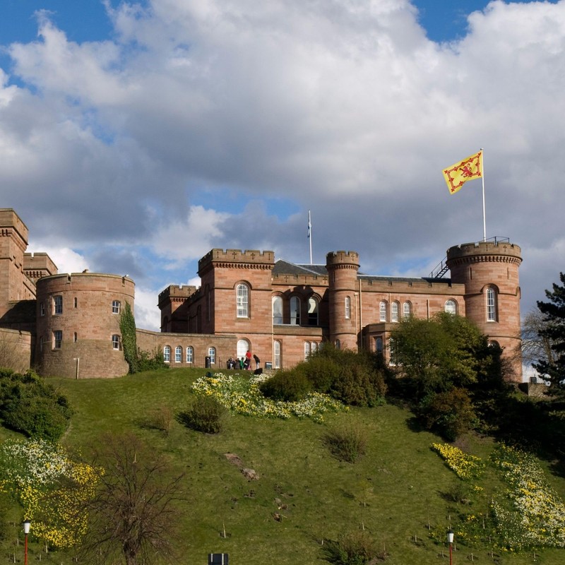 Runesol Rising Lion Flag, 91 x 52 cm (3 x