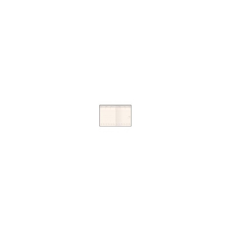 Gilt Edged 2025 Ambassador Desk Diary - Week to View