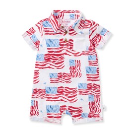 Burt's Bees Baby Baby Boys Romper - Made with 100% Organic Cotton, One-Piece Outfit Boy Clothes for Sizes Newborn to 24 Months