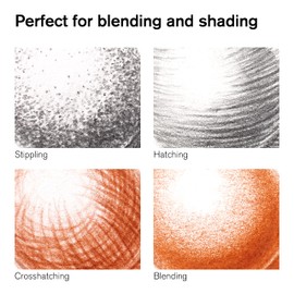 Winsor & Newton 490011 Drawing Pencils Set, 6 Pieces, 2 Pencils 4B, 8B, 4 Charcoal Drawing Pencils, Pierre Noire, Sepia, White Charcoal