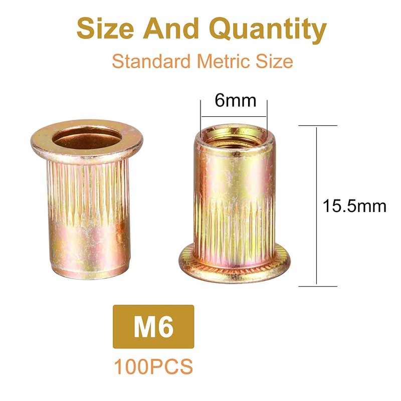 AIWFL 100Pcs M6 Metric Zinc Plated Carbon Steel Rivet Nut,