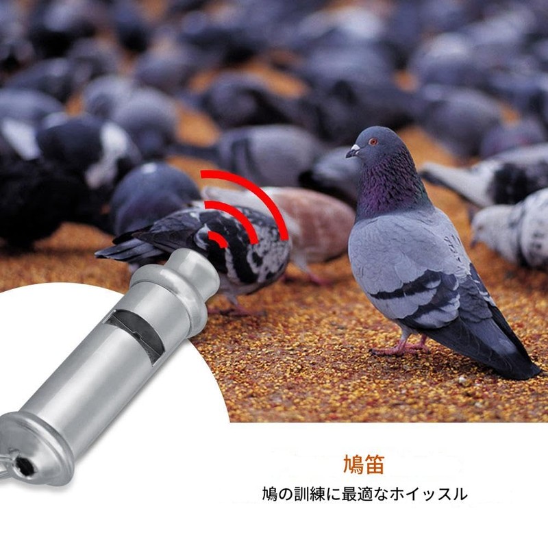 ochun Bird Training Whistle for Training, Stainless Steel, Lightweight, Easy