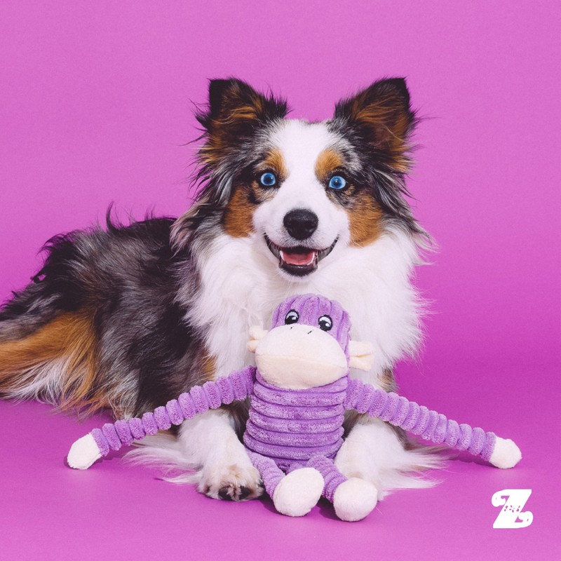 ZippyPaws Crinkle Monkey - Interactive Dog Toys to Keep Them