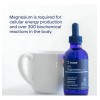 Trace Minerals Magnesio Líquido Iónico 400mg Sabor 59ml Vegano
