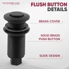 Westbrass ASB-01 Sink Top Waste Disposal Air Switch and Single