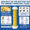 Fly Stick Sticky Fly Traps for Indoors and Outdoor Wasp