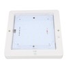 8x8 Inch DC 12‑24V Square RV Cabin Ceiling Lamp 9W