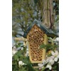 Wild on Wildlife Esschert Design Wood Bee House - Natural