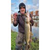 Major Fish Medium Jerk Jerkbait 10 cm Pike Wobbler Artificial
