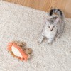Fringe Studio "Very CRABTIVATING Earth Friendly Kicker Cat Toys, PetShop