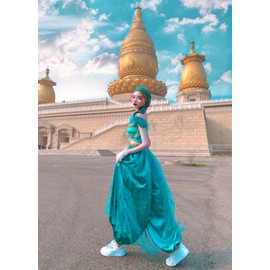 Halloween Costume Alidine Jasmine Princess Clothes Adult Cosplay Costume M / 할로윈 코스튬 알리딘 자스민 공주 옷 성인 코스프레 의상 M