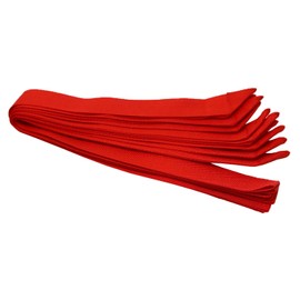 HALE Team Bands, Team Bands, Party Bands, Sashes (Various Colours) Set of 10 for School and Club, for Teenagers and Adults, 70 cm Long, 4 cm Wide, red