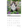 Willow Creek Press, Just Kittens 2026 Wall Calendar, 12'' X
