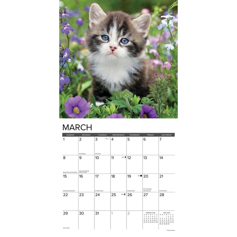 Willow Creek Press, Just Kittens 2026 Wall Calendar, 12'' X