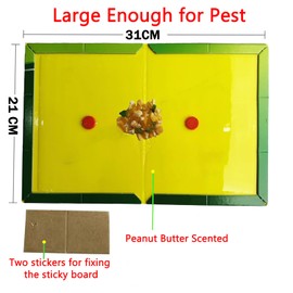 Ulixii Pest Sticky Pad Traps Boards,12 Pack Sticky Pest Traps,Large Extra Strong Sticky Trap for Indoor Outdoor,Home Kitchen, Garage,Garden