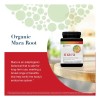 Maca Youtheory 240 Capsulas 1000mg