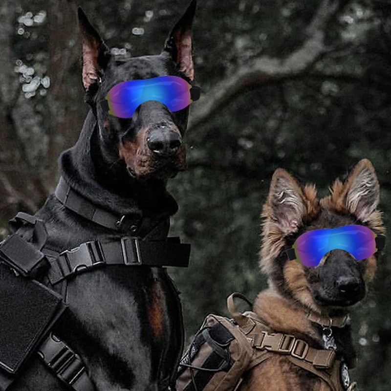 Dog Sunglasses Large Dog Goggles Pet Glasses UV Protection Windproof