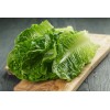 HSC 1200+ Parris Island Romaine Lettuce Seeds | Non-GMO Lettuce
