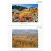 Postcard Kamikochi Set of 12