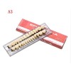 Unbranded 5 Set Dental Acrylic Resin Denture Shade #23 A3