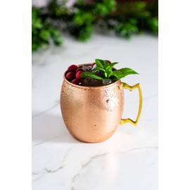 Teal Turtle Moscow Mule Mugs -(Set Of 4) 16 oz Mug Solid Copper - Stainless Steel Lining - Food Safe Pure Copper Plating with Gold Brass Handle