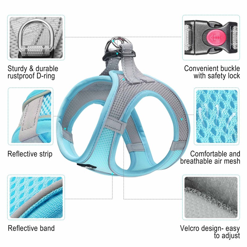 haapaw Dog Harness with Leash Set, No Pull Adjustable Reflective