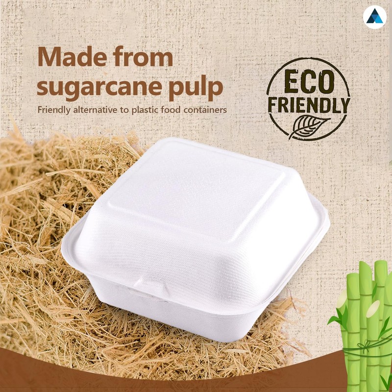 Nationwide Paper Takeaway Bagasse Sugarcane Burger Box (50)