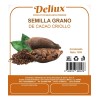 Semilla Grano De Cacao Criollo 100% Natural 1 Kg Premium