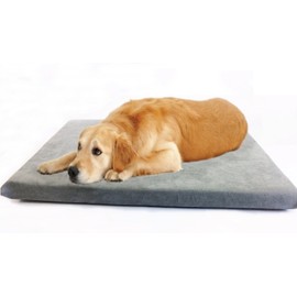 Luxurious Comfort Solid Pad Memory Foam Pet Dog Bed with Inner Waterproof Case and External Cover for Medium and Large Dogs + Free 2nd Cover (Complete Bed - 45"x27"x3", Suede - Gray)