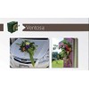 Ventosa OASIS® (12 piezas) - Mecánico de espuma floral
