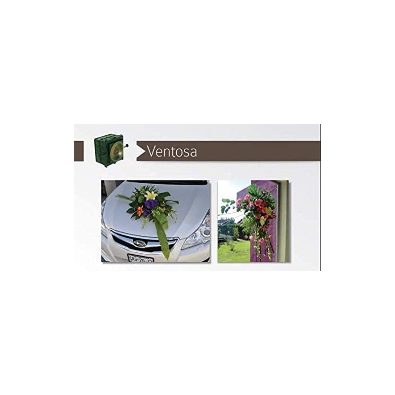 Ventosa OASIS® (12 piezas) - Mecánico de espuma floral