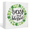 EIONEY St.Patrick's Day Decorations Wooden Box Sign,Lucky And Blessed Sign,Green