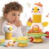 Qizebaby Baby Toys 6 to 12 Months - 2 in