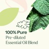 Plant Therapy Vein Aid Essential Oil Blend Pre-Diluted Roll-On 10