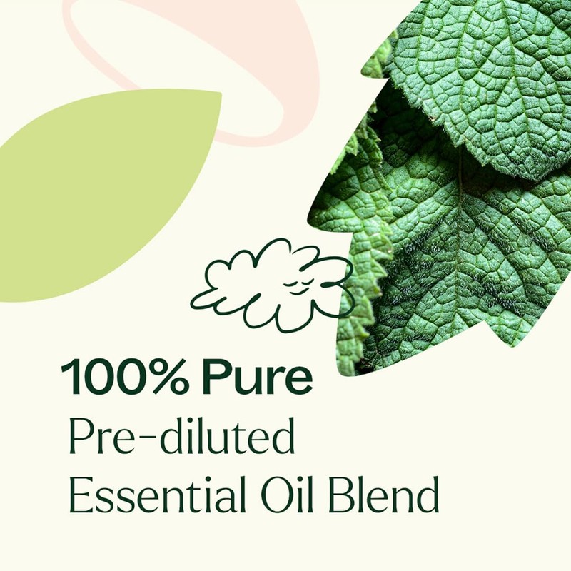 Plant Therapy Vein Aid Essential Oil Blend Pre-Diluted Roll-On 10