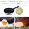 アイリスオーヤマ 蓋 ステンレスガラスふた 24cm PDG-SG24 ダイヤモンドグレイス シルバー