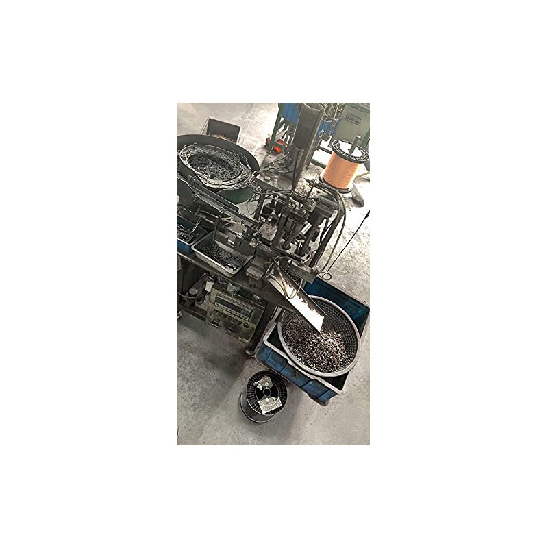 3000, 200, Carbon Brushes Compatible with Rotary Tool 10Pcs