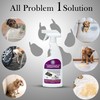 PoochPad Potty Training Attractant Spray for Dogs & Puppies 16
