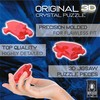 Bepuzzled - Rompecabezas de Vidrio 3D Original de Ardilla, a