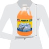 Rain-X -25°F Heavy Duty De-Icer Windshield Washer Fluid - 1