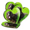 4 x Heart Coasters - Irish Water Spaniel Dog Breed