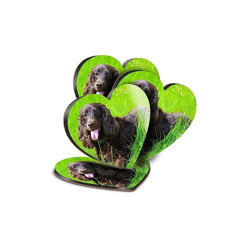 4 x Heart Coasters - Irish Water Spaniel Dog Breed