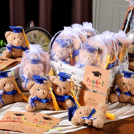 Motionchic 25 Sets Preschool Graduation Bear Gift Bulk 2025 Preschool Mini Graduation Stuffed Bears Adjustable Wish Bracelets with Organza Bags, Cards for Class of 2025 Party Favors(Blue)